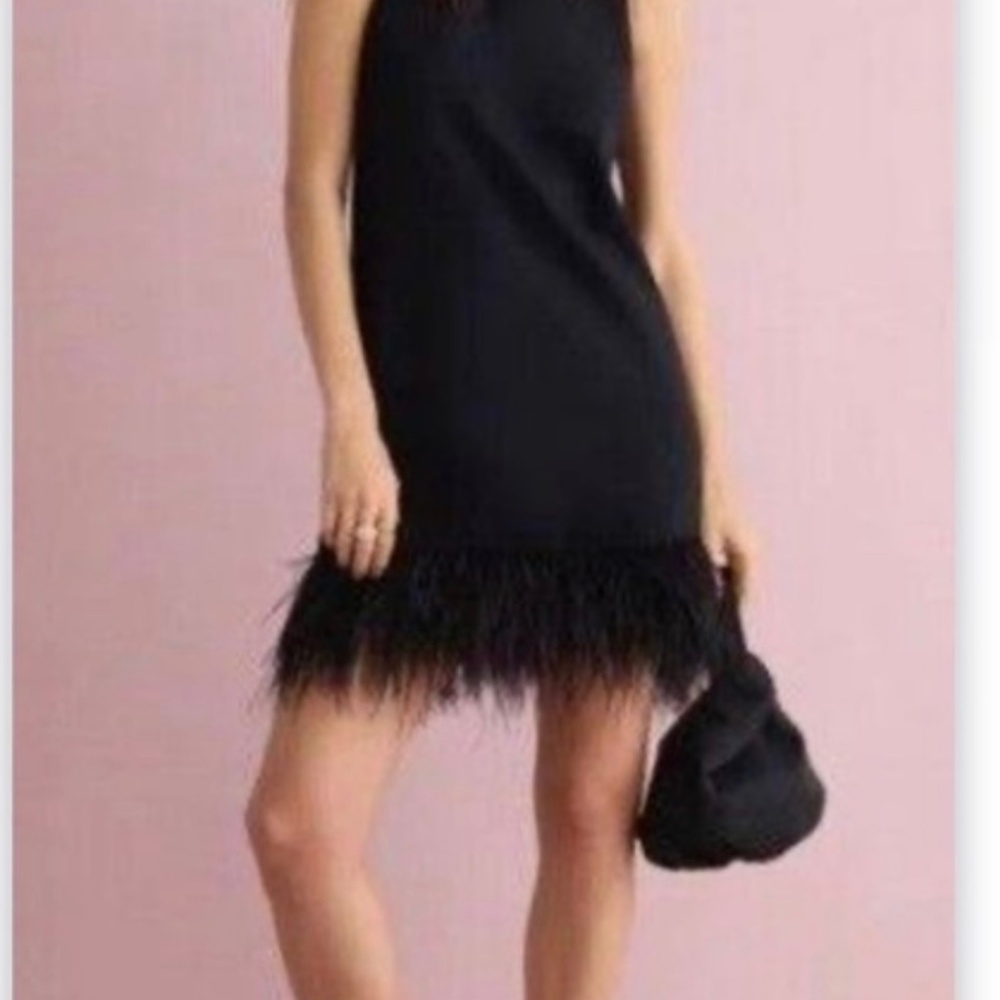 J. Crew Black Mini Dress with Feather Hem